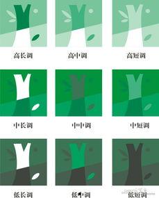 九级明度色条